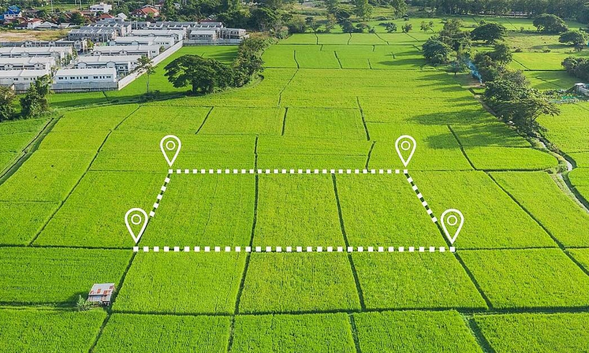 MILCENDEAU SAS LA GRIFFE Constructeur De Maisons En Vendee 85 Reussir Votre Achat Terrain Mise En Avant