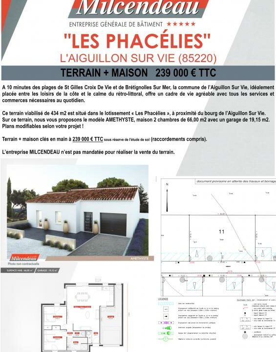 PHACELIES_11-16072024-103612