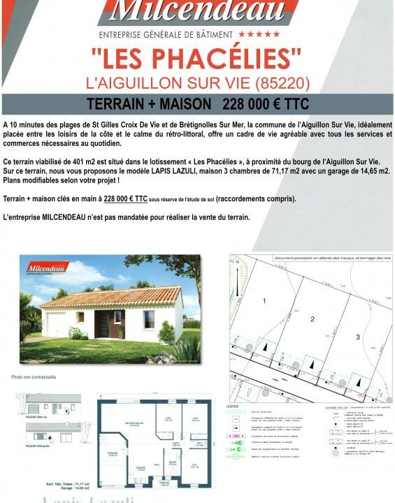 PHACELIES_2-16072024-102216